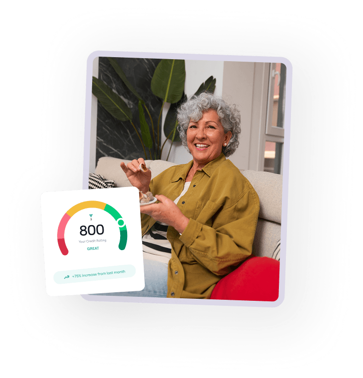 Credit score dashboard showing 800 score